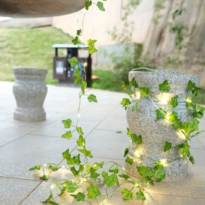 🌿 HIEDRA SOLAR LED✨