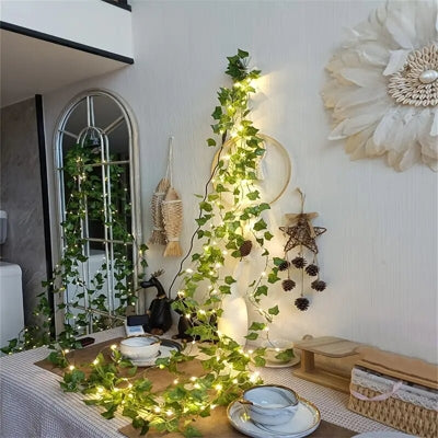 🌿 HIEDRA SOLAR LED✨